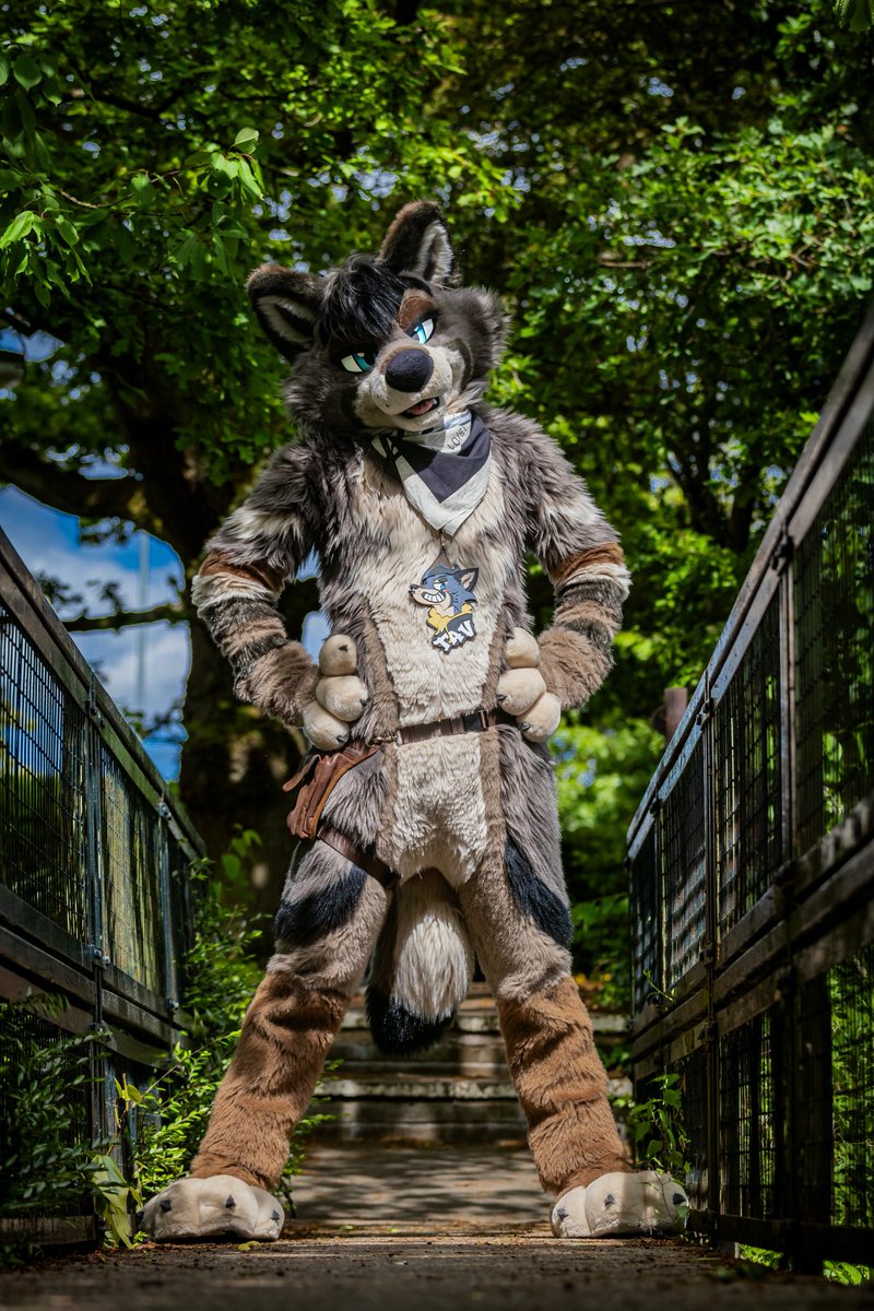 Tav π NFC, CFZ (@tavtavern) on Twitter photo Afraid youβre gonna have to pay the wolf-toll to pass π
#FursuitFriday
πΈ <a href="/KafesCoffeeCat/">π£ πππΆπ₯π’πͺ π£</a> Afraid youβre gonna have to pay the wolf-toll to pass π
#FursuitFriday
πΈ <a href="/KafesCoffeeCat/">π£ πππΆπ₯π’πͺ π£</a>