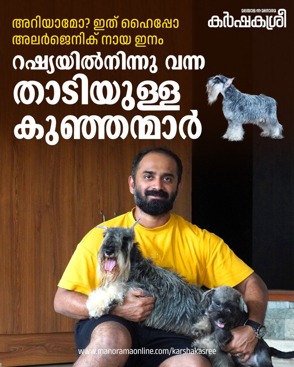 manoramaonline's tweet image. രോമം പൊഴിച്ചിൽ വളരെ കുറഞ്ഞ, മനുഷ്യർക്ക് അലർജിയുണ്ടാക്കാത്ത നായയിനങ്ങളെ അന്വേഷിക്കുന്ന ഒട്ടേറെ പേർ കേരളത്തിലുണ്ട്... #Karshakasree #pets #petdog  

Read more : mnol.in/lx09gpe