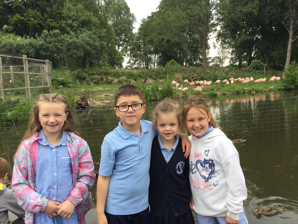 We had a great day at Martin Mere yesterday as part of our Animal Detectives Focus Theme! <a href="/St_Wilfrids_CE/">St Wilfrid's</a> <a href="/LT_Trust/">Learning Together Trust</a>
