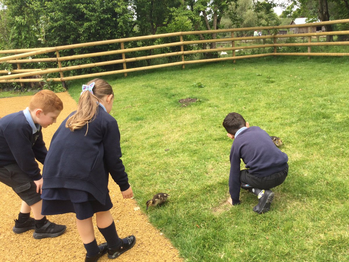 We had a great day at Martin Mere yesterday as part of our Animal Detectives Focus Theme! <a href="/St_Wilfrids_CE/">St Wilfrid's</a> <a href="/LT_Trust/">Learning Together Trust</a>