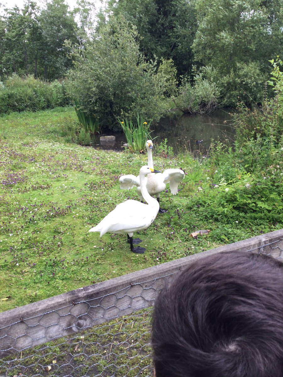 We had a great day at Martin Mere yesterday as part of our Animal Detectives Focus Theme! <a href="/St_Wilfrids_CE/">St Wilfrid's</a> <a href="/LT_Trust/">Learning Together Trust</a>
