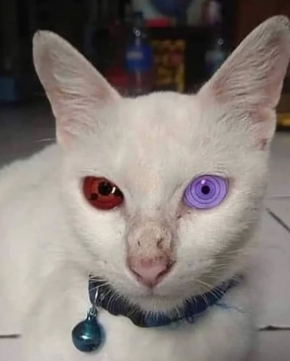 gifs & images naruto (@narutoimges) on Twitter photo 