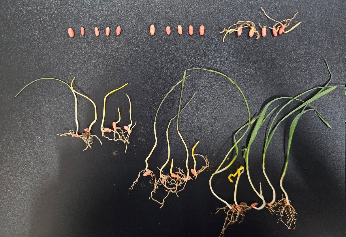 HartField-SiteGroup tweet media