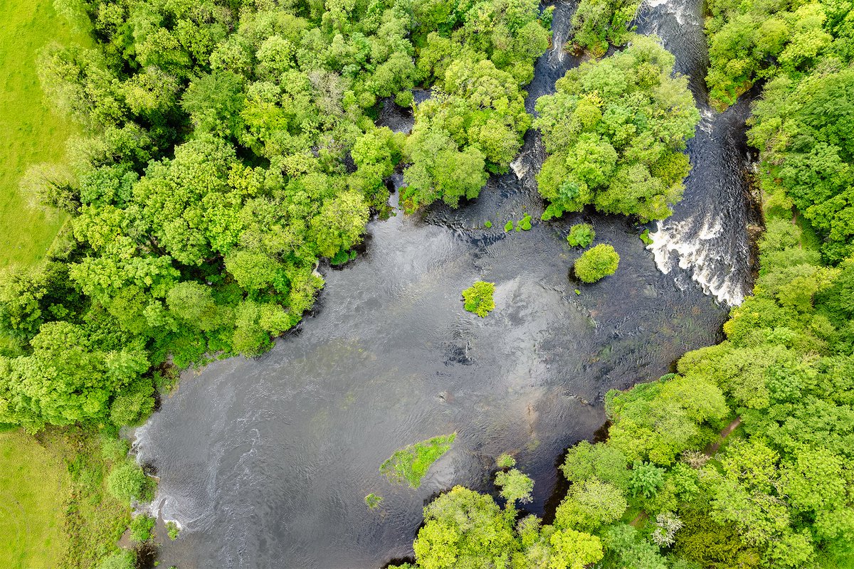 The “Falls of Doonass” on the Lower River Shannon. These falls are located downstream of Parteen Regulating Weir in the 15 km stretch of the “old” River Shannon which is affected by water abstraction for the ESB hydroelectric scheme. The Irish Government wants to designate this