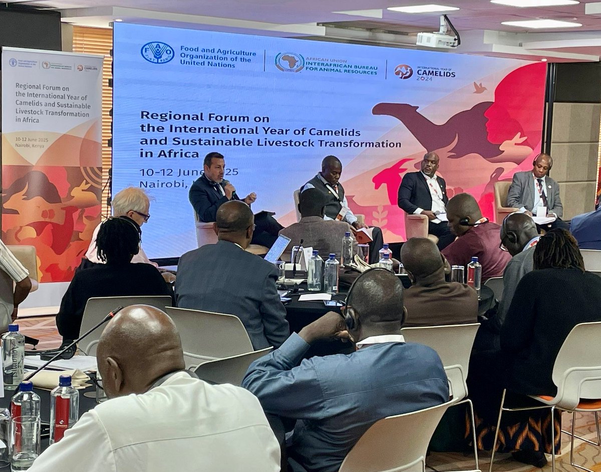 Marco V Sánchez (@sanchezmarcov) on Twitter photo Thrilled to have moderated and then be a panelist in the session on "National and Regional Policies" at the <a href="/FAO/">Food and Agriculture Organization</a> & <a href="/_AfricanUnion/">African Union</a> Regional Conference on the International Year of Camelids and Sustainable Livestock Transformation in Africa in Nairobi.
fao.org/africa/events/… Thrilled to have moderated and then be a panelist in the session on "National and Regional Policies" at the <a href="/FAO/">Food and Agriculture Organization</a> & <a href="/_AfricanUnion/">African Union</a> Regional Conference on the International Year of Camelids and Sustainable Livestock Transformation in Africa in Nairobi.
fao.org/africa/events/…