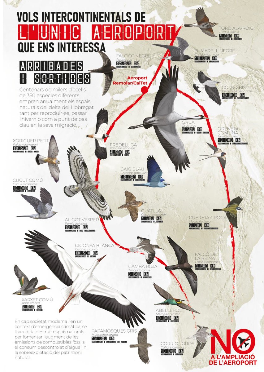 Feliu López i Gelats tweet media