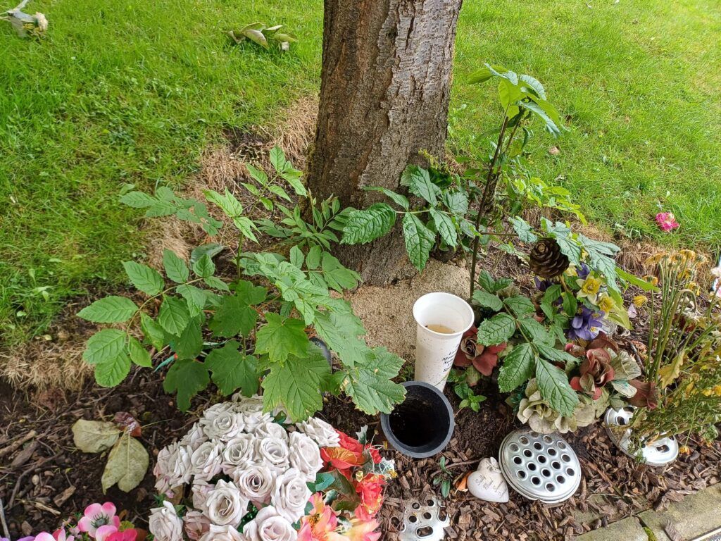 New from me: Crompton Cemetery Memorial Garden 

Crompton Cemetery Memorial Garden.

Following complaints and a personal inspection myself I am please to report works to weed and tidy up this important area have now been ordered.  … ift.tt/fnrEWvl
