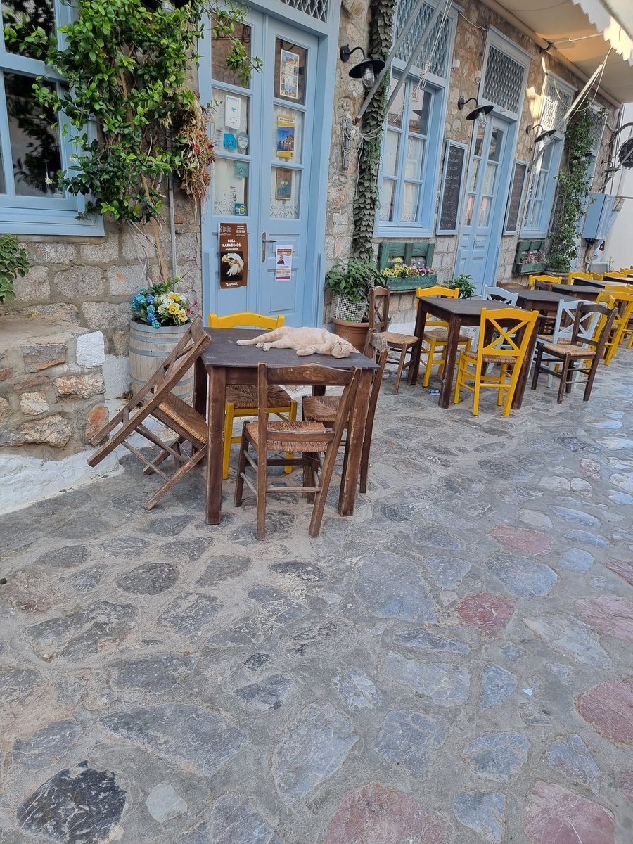 mpouagia's tweet photo. Σας φτιαξω την μερα ? https://t.co/j00q7zKej0