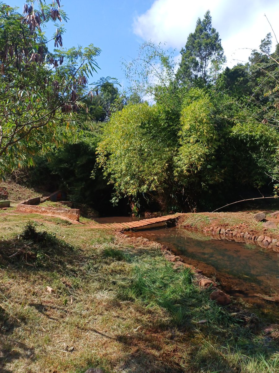 Before and After. Ondiri Wetland Conservation. <a href="/RamsarConv/">Convention on Wetlands</a> <a href="/NemaKenya/">NEMA Kenya</a> <a href="/WetlandsInt/">Wetlands International</a> <a href="/KEFRIHQ/">Kenya Forestry Research Institute (KEFRI)</a> <a href="/KiambuCountyGov/">Kiambu County Kenya.</a> <a href="/MwauraIsaac1/">Dr. Isaac Mwaura CBS</a> <a href="/KIMANIICHUNGWAH/">Kimani Ichung’wah</a> <a href="/Environment_Ke/">Ministry of Environment, Climate Change & Forestry</a> <a href="/USGSWetlands/">USGSWetlands</a> <a href="/UNEP/">UN Environment Programme</a>