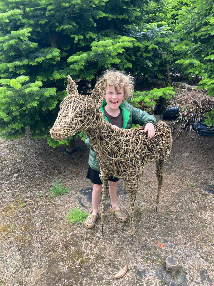 Our friends at the Christmas Tree Workshop helped Mr Thompson trim our Willow Tunnels a couple of weeks ago, and have sent me the pictures of the deer they have made to go in the Christmas tree forest! We can't wait to meet 'Deerdre'!!