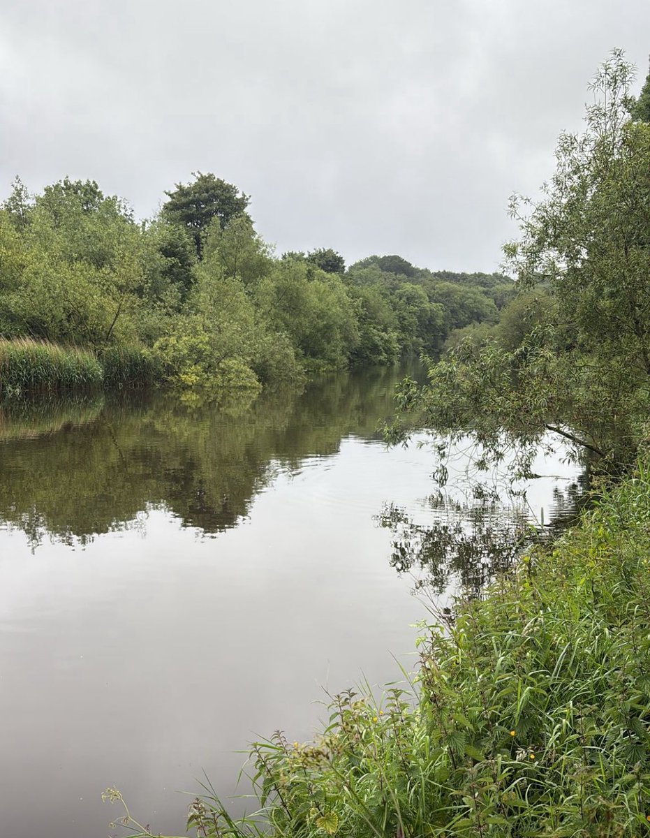 drjulespsych's tweet image. #DailyChoices #DiggingDeep #CreatedToRun #Belfast