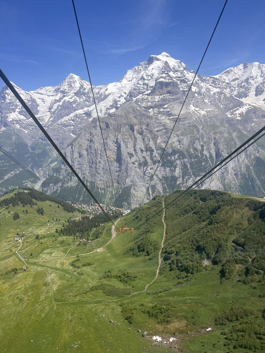 TheeHofer tweet media