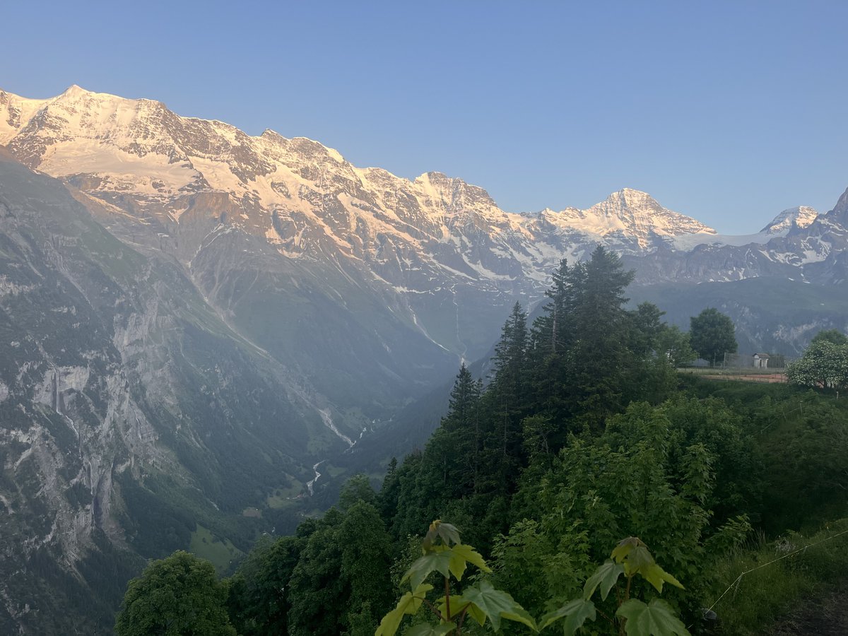 TheeHofer tweet media