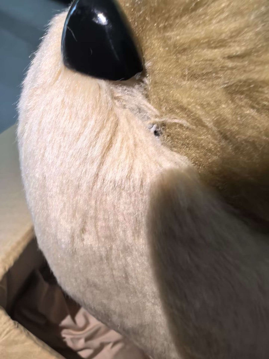 很不爽 吐槽一下 
第一张图 是给我的第一版 肉眼可见的崩
第二张图 给我修改后的小狮子头 看上去还算满意 
第三张图 到了后的实拍图 我知道A的出场照会去修图 没想到修的这么过分 
第四张图 检查的时候发现鼻子和脸颊连接处还有一个大洞 
消息发给客服 已经一个星期了没有回复
真是高贵的A家工作室😅