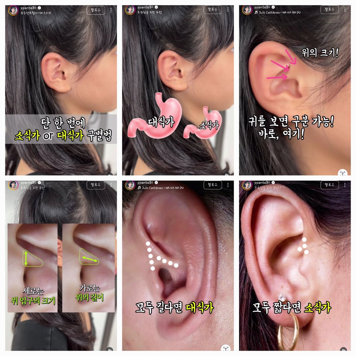 소식가 대식가 구별법