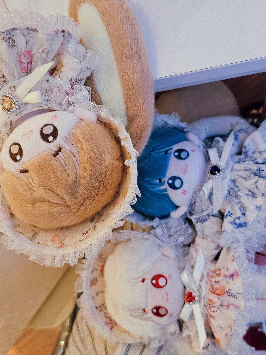 💛❤️💙

빈티지라인 입혀서 외출!

#밍맹묭 #리몽솜샷