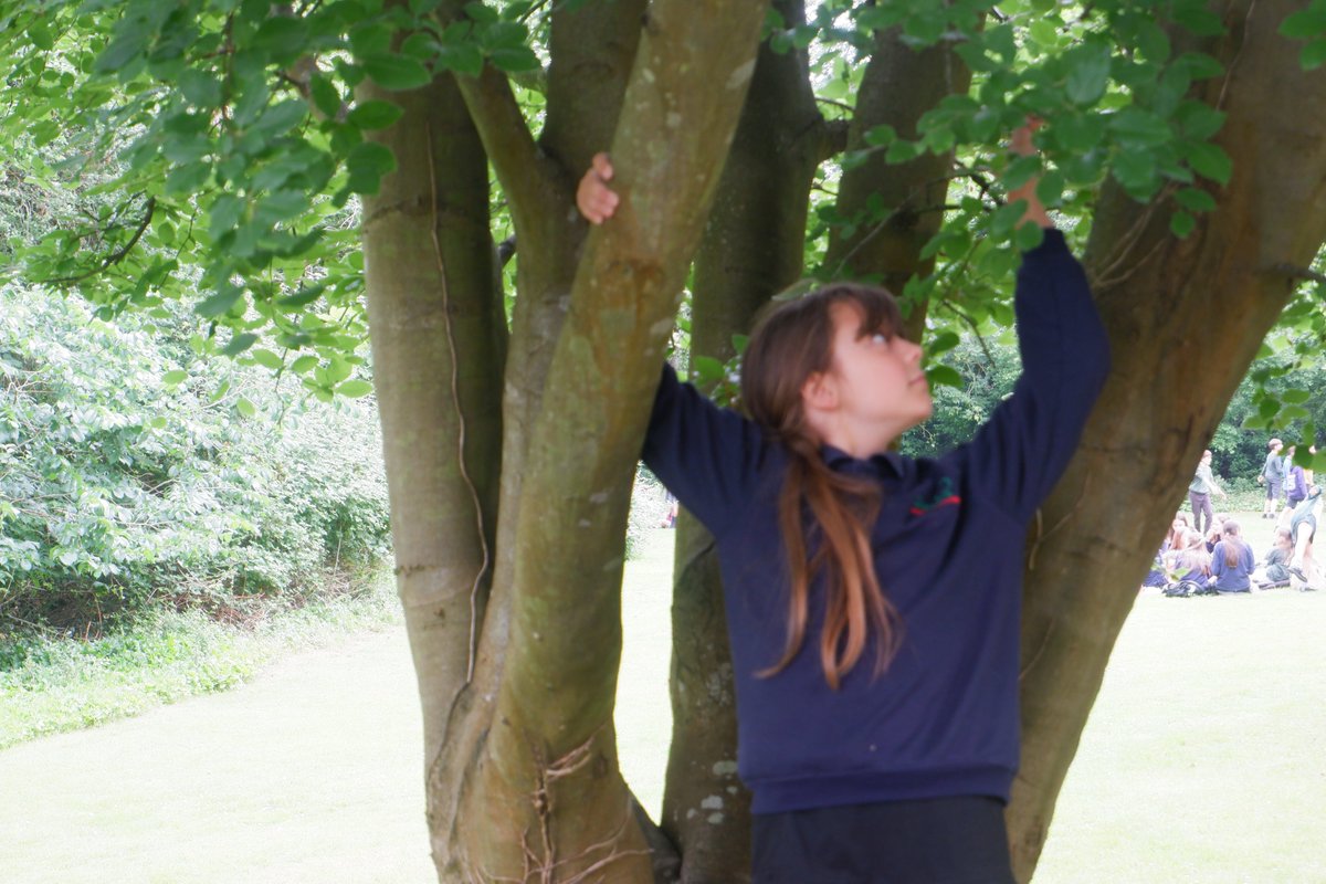 Gillotts Library tweet media