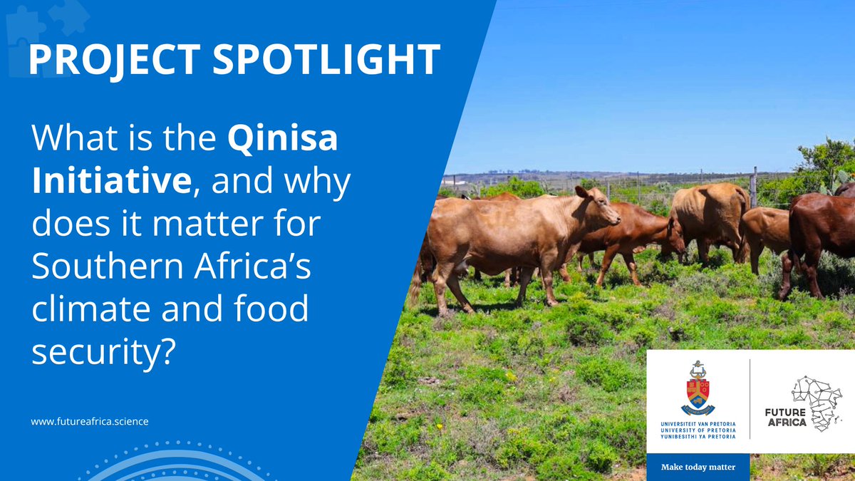 The Qinisa Initiative, launched in 2023, is building sustainable, low-emission food systems in Southern Africa by tackling GHG emissions in agriculture.
Focus: Livestock| Crops| Pastures| Soil
Learn more: bit.ly/3ZWYkfu

#QinisaInitiative #ClimateAction #FutureAfrica