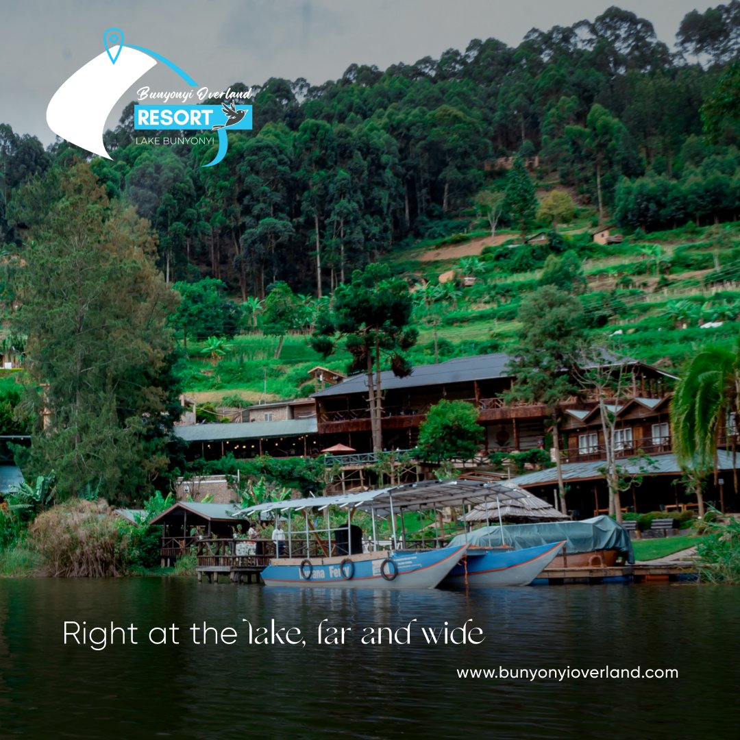 overland_resort's tweet photo. There's plenty of magical places for you to explore in the pearl but this right here is your next step of your story.
Right at the lake, far and wide just for you!๐คฉ
#BunyonyiOverlandResort #EveryStepAStory https://t.co/rk7HouZ15B