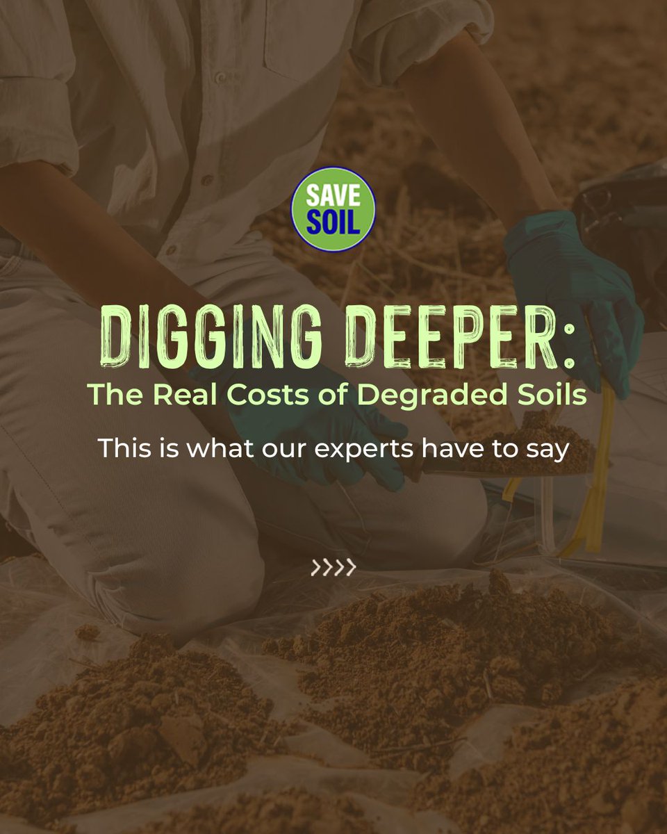 cpsavesoil's tweet photo. 🌍 What is the real cost of degraded soils?
In a recent high-level panel discussion, leading voices from science, farming, and finance shared bold insights into how soil health shapes not just agriculture—but our economy, climate, and well-being.

📢 Prof. Gornott urged reforming EU subsidies to support healthy soils.
🌱 Benedikt Bösel called for debt relief and real incentives for farmers.
💡 Dr. Stuchtey challenged us to rethink land as living wealth, not just a resource to extract from.

Their message is clear: We must value and regenerate our soil—before the true cost becomes irreversible.

#SaveSoil

@BenediktBoesel @PIK_Climate @TheLandbanking