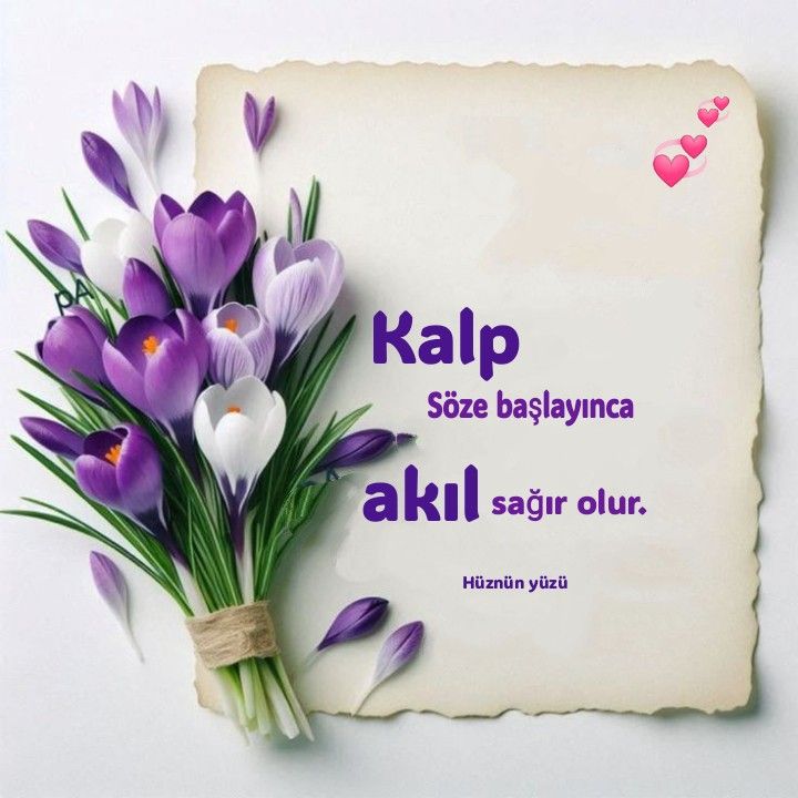 @NusretAkpak (@nusretakpak) on Twitter photo <a href="/AvAhmetKuran/">Av.AHMET FARUK KURAN</a> <a href="/ayima473682/">ayşima</a> <a href="/aysegulakyuz50/">Ayşegül Akyüz Yahşi</a> <a href="/uzaksa/">Arşın</a> <a href="/seyyahworld35_/">AyYildiz 💚🤍🖤❤️🇵🇸🇵🇸🇵🇸 🇹🇷🇹🇷🇹🇷💚🤍🖤♥️</a> <a href="/avturkoglum/">Av. Muhammed TÜRKOĞLU</a> <a href="/ak_kepez/">KadınKepez</a> <a href="/akilknurRTE_44/">akilknurRTE</a> <a href="/AylaKoklu/">Ayla Köklü🇹🇷</a> <a href="/NFirdez/">NURAY FİRDEZ</a> <a href="/_Ak_Kalbim_/">LEYLA &ReisiCihan</a> <a href="/GonulKervani01/">Gönül Kervanı 🕊️</a> <a href="/___KIZILELMA/">HÜSEYİN SAKALLIOĞLU</a> <a href="/ashaannabelle63/">Annabelle</a>
<a href="/cigtanesicigdem/">🌷ÇiĞDeM ToRuN🌷</a> <a href="/gonul_cicegi/">Gönül Çiçeği</a>
<a href="/aramersan65/">Erşan_Bey</a> <a href="/FarukKesikbas/">🇹🇷Faruk Kesikbaş 🇹🇷</a> <a href="/AHMETTEKDEMR/">𝓐𝓱𝓶𝓮𝓽 𝓣𝓮𝓴𝓭𝓮𝓶𝓲𝓻🇹🇷</a> <a href="/1967Steppenwolf/">Steppenwolf</a> 🇹🇷🤘 <a href="/AvAhmetKuran/">Av.AHMET FARUK KURAN</a> <a href="/ayima473682/">ayşima</a> <a href="/aysegulakyuz50/">Ayşegül Akyüz Yahşi</a> <a href="/uzaksa/">Arşın</a> <a href="/seyyahworld35_/">AyYildiz 💚🤍🖤❤️🇵🇸🇵🇸🇵🇸 🇹🇷🇹🇷🇹🇷💚🤍🖤♥️</a> <a href="/avturkoglum/">Av. Muhammed TÜRKOĞLU</a> <a href="/ak_kepez/">KadınKepez</a> <a href="/akilknurRTE_44/">akilknurRTE</a> <a href="/AylaKoklu/">Ayla Köklü🇹🇷</a> <a href="/NFirdez/">NURAY FİRDEZ</a> <a href="/_Ak_Kalbim_/">LEYLA &ReisiCihan</a> <a href="/GonulKervani01/">Gönül Kervanı 🕊️</a> <a href="/___KIZILELMA/">HÜSEYİN SAKALLIOĞLU</a> <a href="/ashaannabelle63/">Annabelle</a>
<a href="/cigtanesicigdem/">🌷ÇiĞDeM ToRuN🌷</a> <a href="/gonul_cicegi/">Gönül Çiçeği</a>
<a href="/aramersan65/">Erşan_Bey</a> <a href="/FarukKesikbas/">🇹🇷Faruk Kesikbaş 🇹🇷</a> <a href="/AHMETTEKDEMR/">𝓐𝓱𝓶𝓮𝓽 𝓣𝓮𝓴𝓭𝓮𝓶𝓲𝓻🇹🇷</a> <a href="/1967Steppenwolf/">Steppenwolf</a> 🇹🇷🤘
