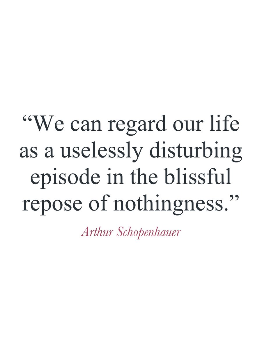 Arthur Schopenhauer (@schopenhauernow) on Twitter photo 