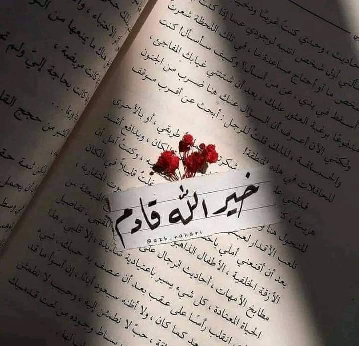 زايـد الخير مسـلط آل ملحـم (@pgpg48203) on Twitter photo 