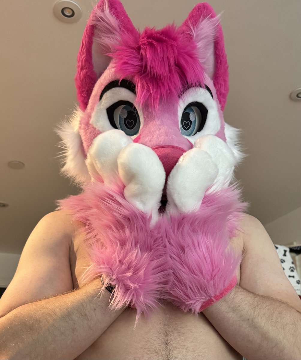 IMPORTANT ANNOUNCEMENT: I’m fluffy!! 

Guess I can finally join in on #FursuitFriday!
Just when you all thought I couldn’t get even more pink and even more dog 😏