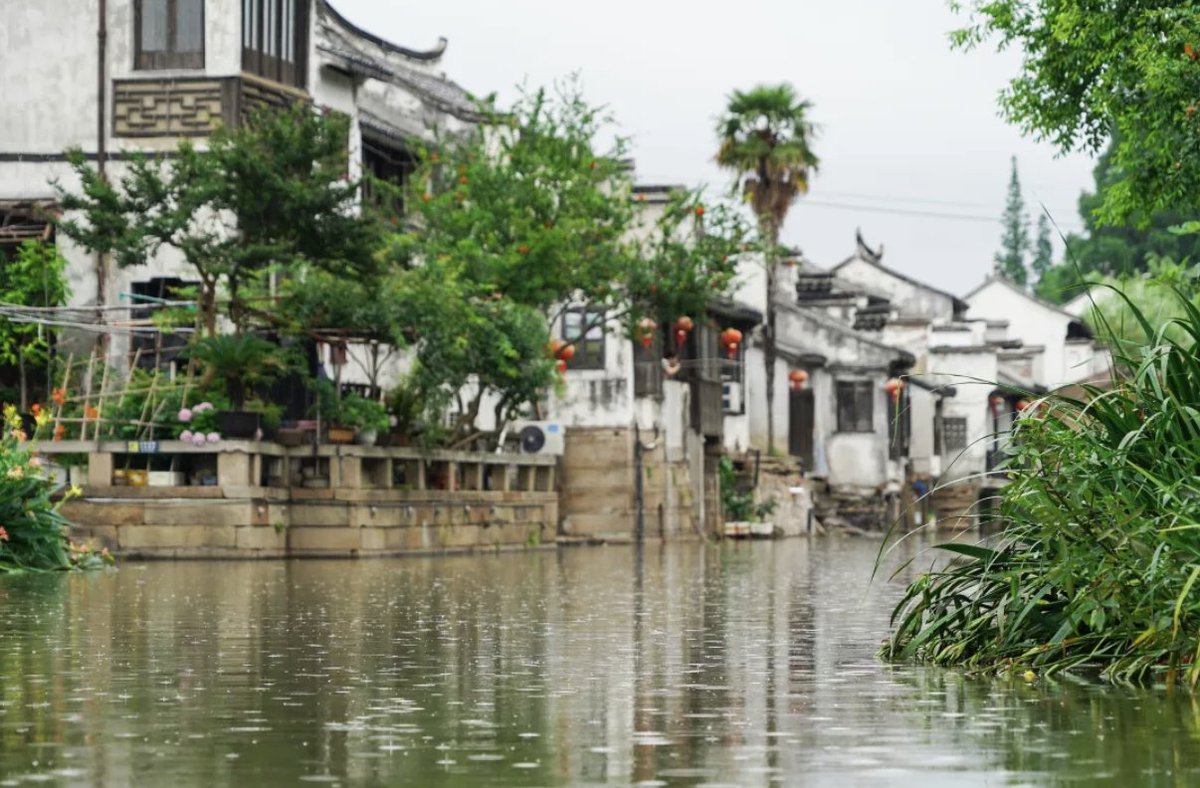 Strolling through #Taicang in the #rain🌧️, the soul of Jiangnan whispers. Whether in its ancient towns or its serene classical gardens, the drizzle transforms the city into a living poem.💙 #DiscoverTaicang #HappyCity #VisitTaicang