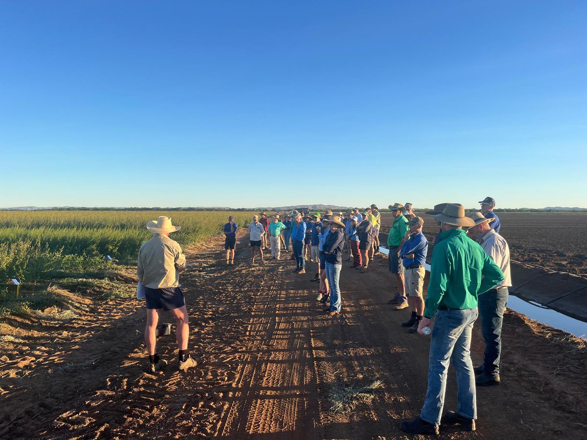 Gus MacLennan tweet media