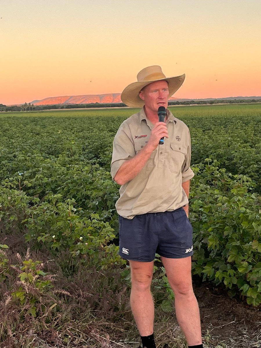 Gus MacLennan tweet media