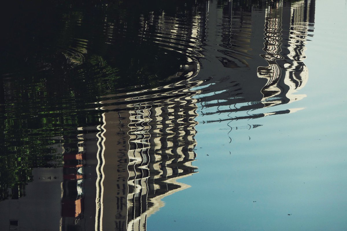 白狐/shiroco (@shiroco_photo) on Twitter photo 