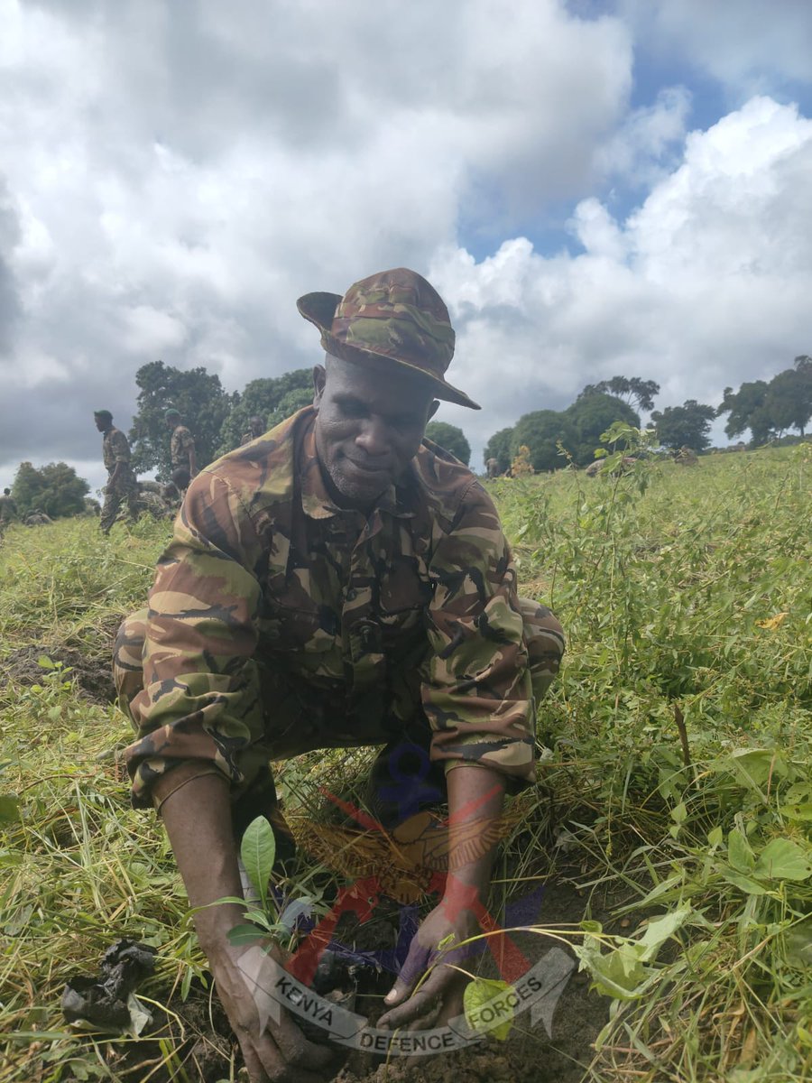Kenya Defence Forces troops under the Multi-Agency Operation Amani Boni, in collaboration with the National Youth Service, Kenya Forest Service and Equity bank representatives conducted a tree planting exercise at Witu NYS Camp in Lamu County.

See more: shorturl.at/U93R8