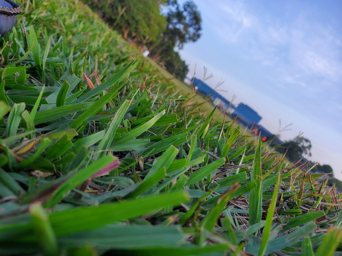 JustinJustusOk1's tweet photo. Nature https://t.co/Bm3F9tr0Le