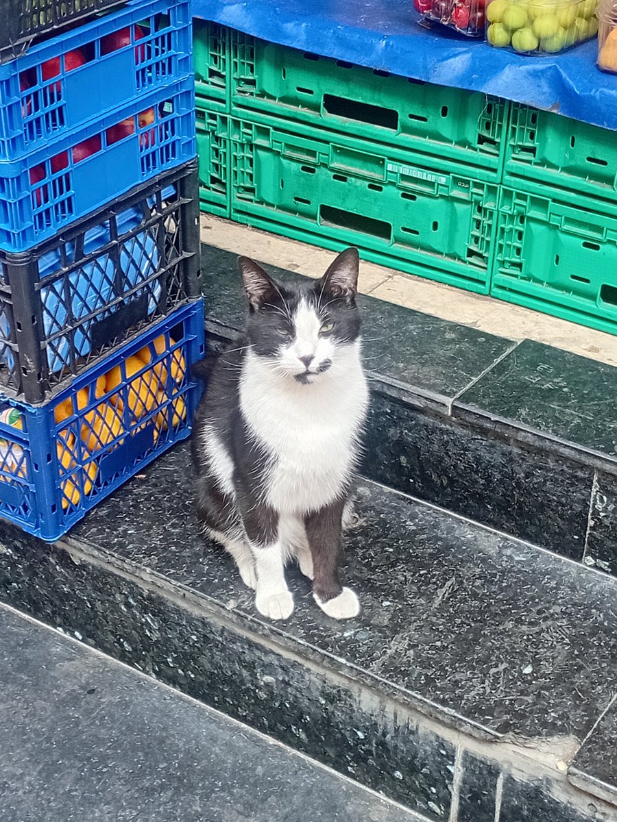 Hello Istanbul
