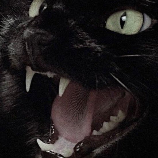 𝕳𝖔𝖗𝖗𝖔𝖗 𝖌𝖎𝖗𝖑🔪 (@deathndhorror) on Twitter photo 