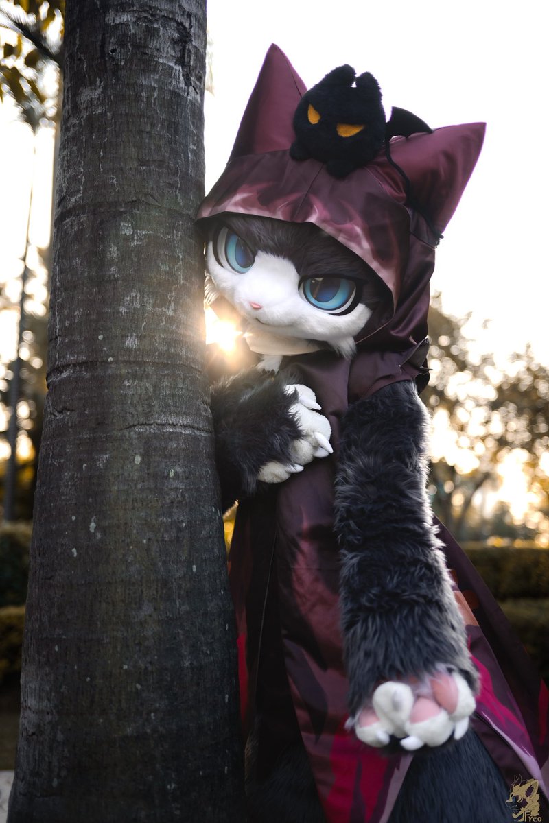 下次什么时候见面呢？

📷：团子
#FursuitsFriday