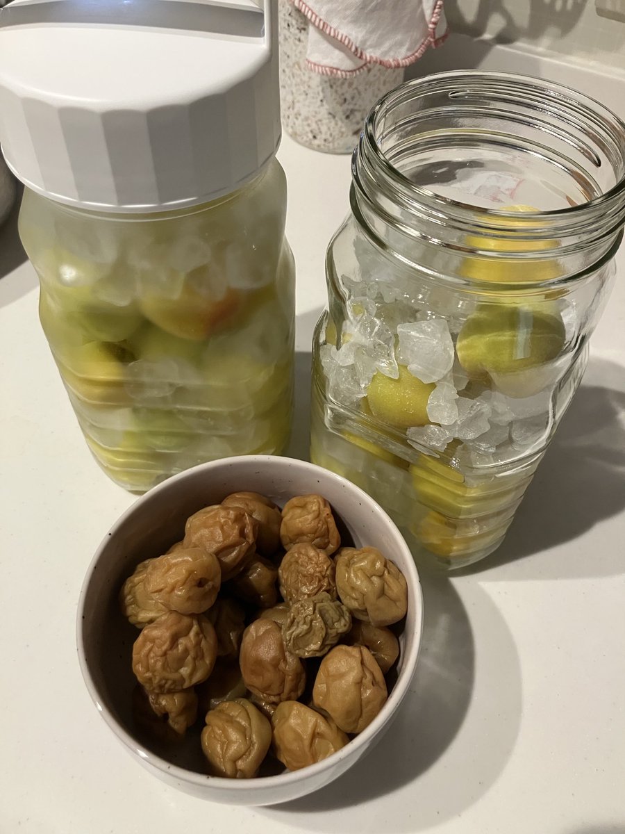 去年的梅酒是6月14酿的，今年提前一天。去年的梅子怎么办？可以泡酸奶么？