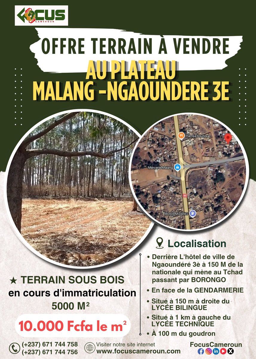 FocusCameroun's tweet photo. 𝗔̀ 𝗩𝗘𝗡𝗗𝗥𝗘 🏡 : 𝗧𝗲𝗿𝗿𝗮𝗶𝗻 𝗲𝘅𝗰𝗲𝗽𝘁𝗶𝗼𝗻𝗻𝗲𝗹 𝗱𝗲 𝟱 𝟬𝟬𝟬 𝗺² 𝗮̀ 𝗡𝗴𝗮𝗼𝘂𝗻𝗱𝗲́𝗿𝗲́ (𝟯𝗲̀𝗺𝗲).

 𝗖𝗼𝗻𝘁𝗮𝗰𝘁𝗲𝘇-𝗻𝗼𝘂𝘀 𝗱𝗲̀𝘀 𝗺𝗮𝗶𝗻𝘁𝗲𝗻𝗮𝗻𝘁 
📱 whatsapp : https://t.co/z3bZsUigC1
☎️ Appel: (+237) 671 74 47 58 (Dla) / 671 74 47 56 (Yde) https://t.co/1UsQXvog5l