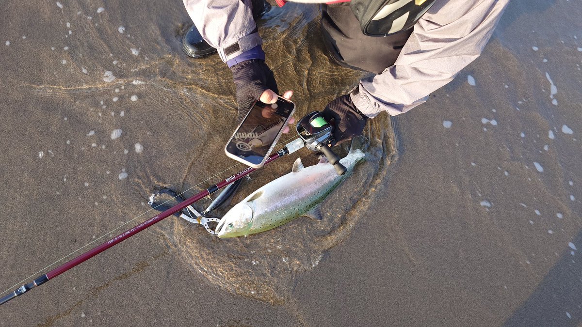 Fishmanブリストベンダバール10.1M
Daiwa IMZ
タナカクラフト プロトミノー

..で
タナカクラフト代表がサクラを釣り上げて写真撮りをしている姿をパチリ😆