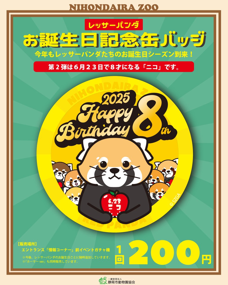 レッサーパンダお誕生日記念缶バッジ第2弾】 6/23はニコの8歳のお誕生