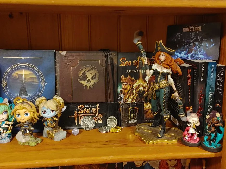Finally cleaned up my collection of random stuff from over the years, big one being my LoR/Pirate Shelf