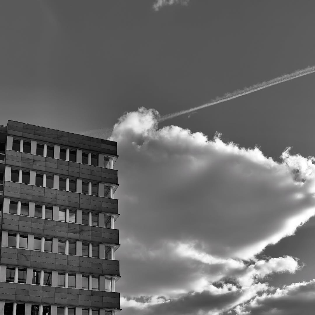 playtusumag's tweet image. berlin 📸 paul banks, 2025