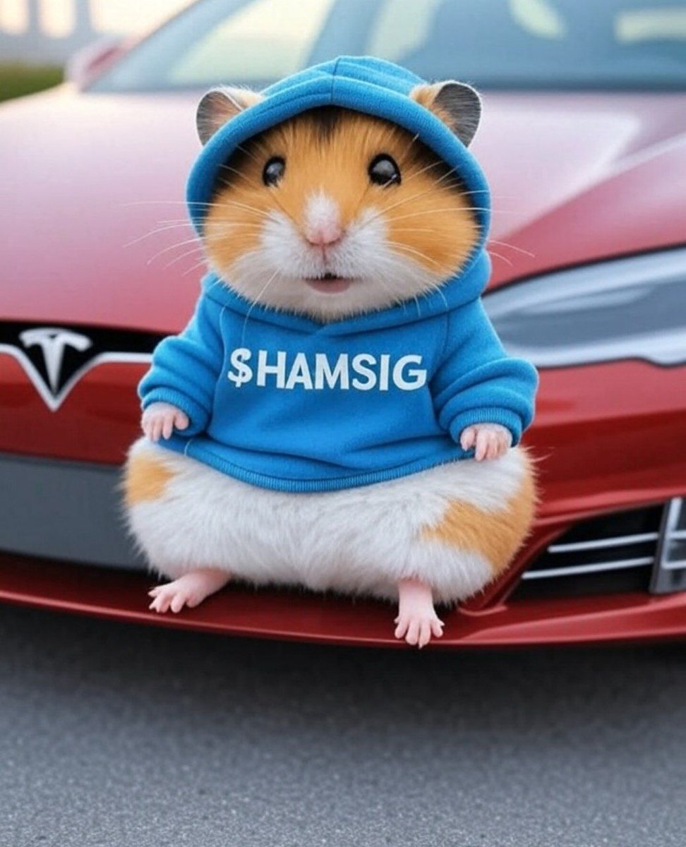 Join the community and join the #CTO🙏

Team supplies have been locked and burned! Invest in the most transparent #memecoin

Get ready for the buyback that's starting soon $HAMSIG 🐹🤍

X: x.com/i/communities/…

TG: t.me/sighamster