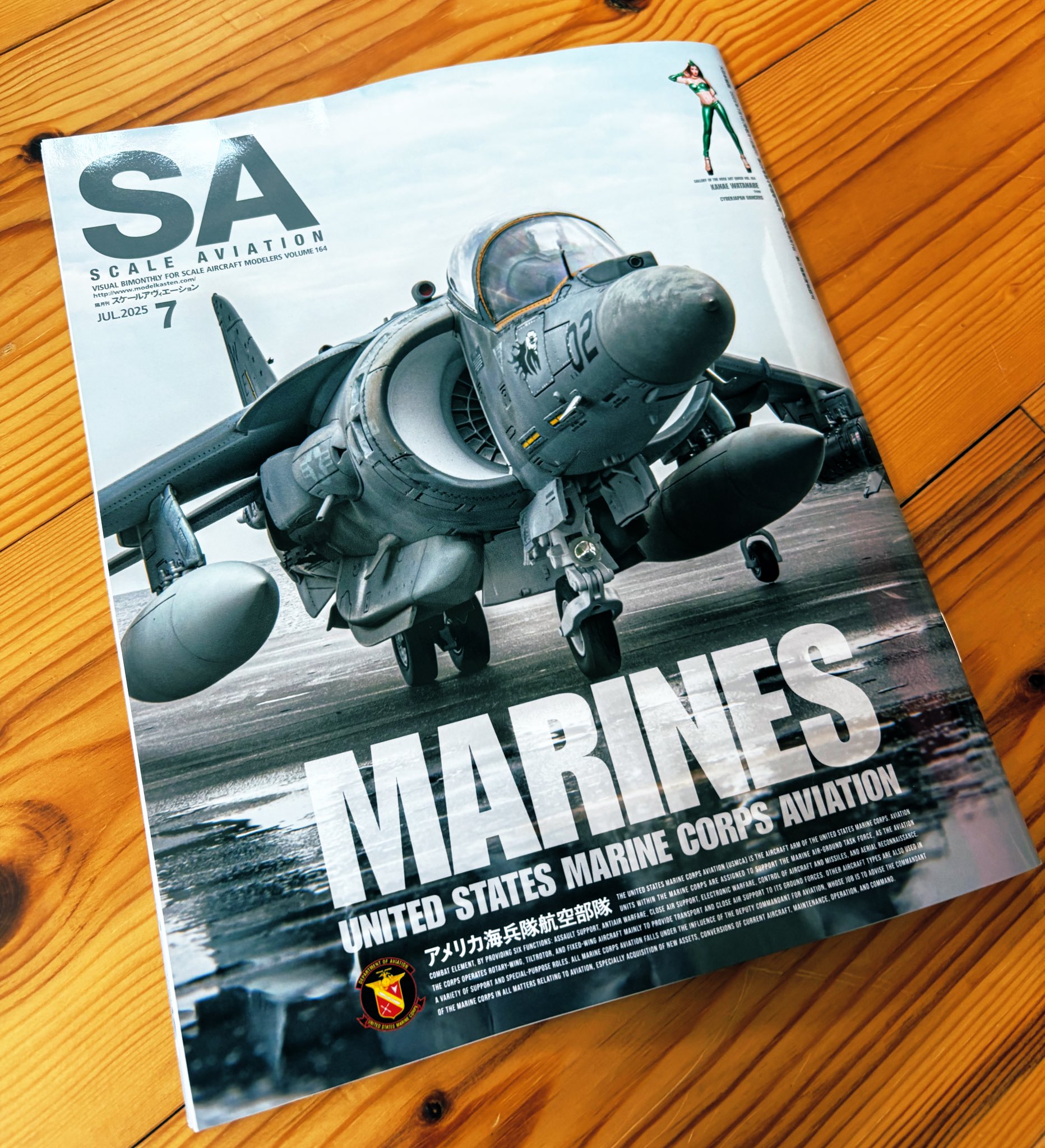 Jacques Villon、CARICATURE、海外版超希少レゾネ、新品額付 New York, New York - Lorinczy Gyorgy