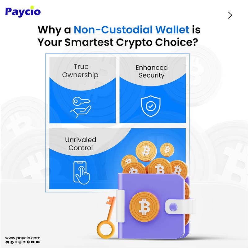 Still trusting some random company with your crypto? Yikes. 😬 Stop playing games with your crypto. Get real security, real control, and real access to financial freedom.

Take charge. Paycio makes true self-custody simple and secure. No compromises.

#crypto #cryptocurrency