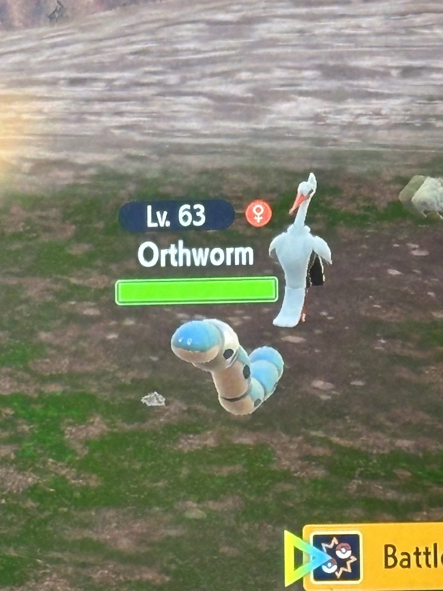 BeeIsHere11's tweet photo. Second one of the day! Shiny Orthworm! #shinypokemon #shinyhunting https://t.co/alEYBJyKUc