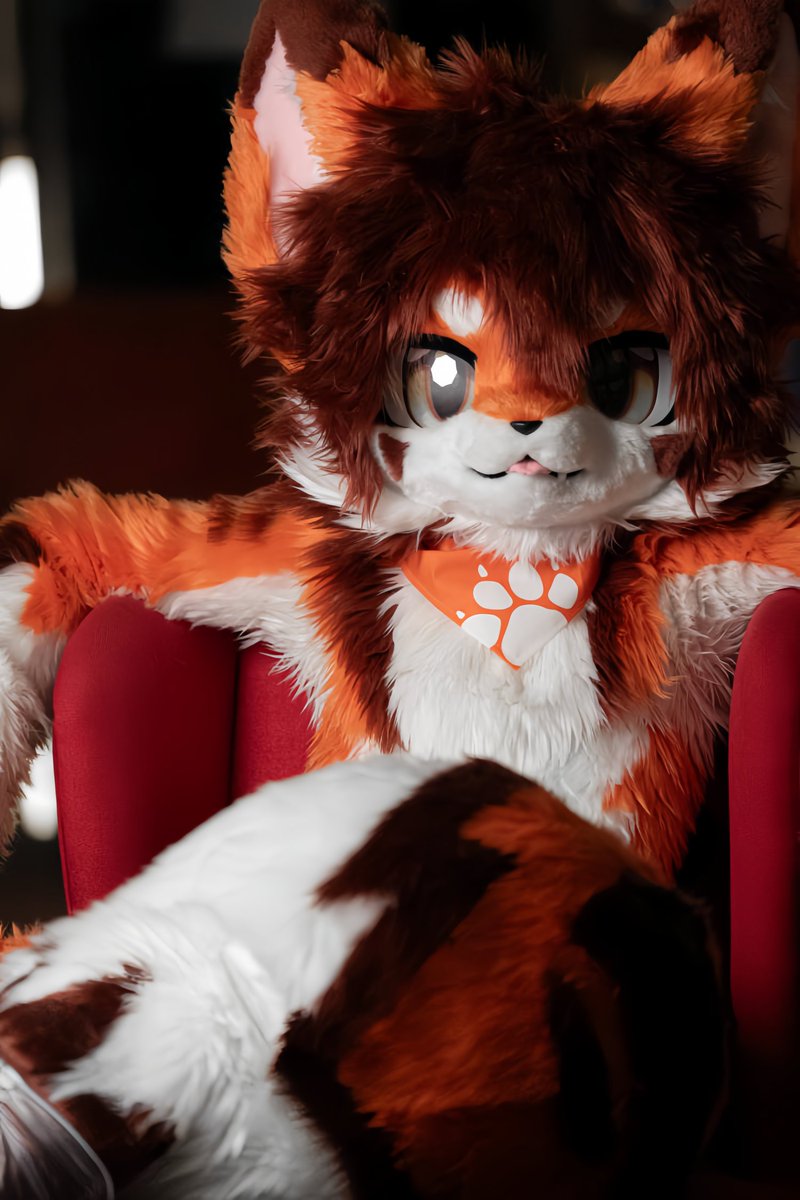 #FursuitFriday

回忆依然缤纷

出镜：枫晓 
摄影：<a href="/Fructose_c/">果糖含量</a>