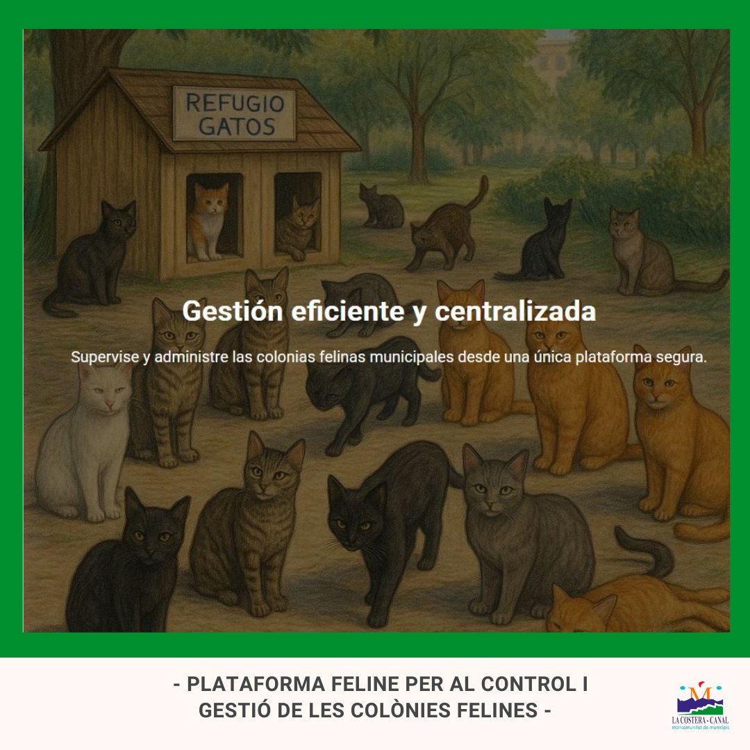 Mancomunitat La Costera-Canal tweet media