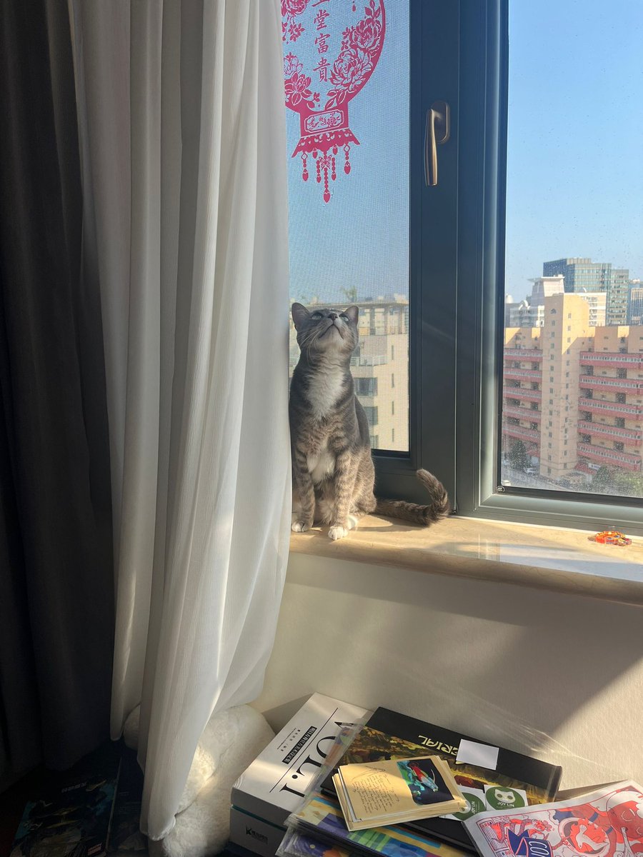 插播一下
我把陪我上完了大学的宝贝从美国带回了中国